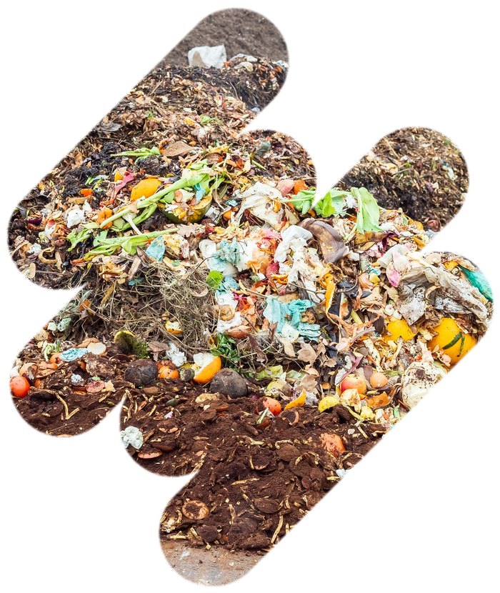 Andains de compost de résidus organiques